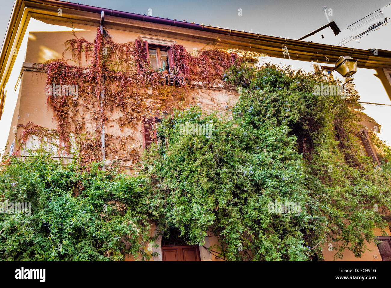 the old houses of Rome in Italy Stock Photo