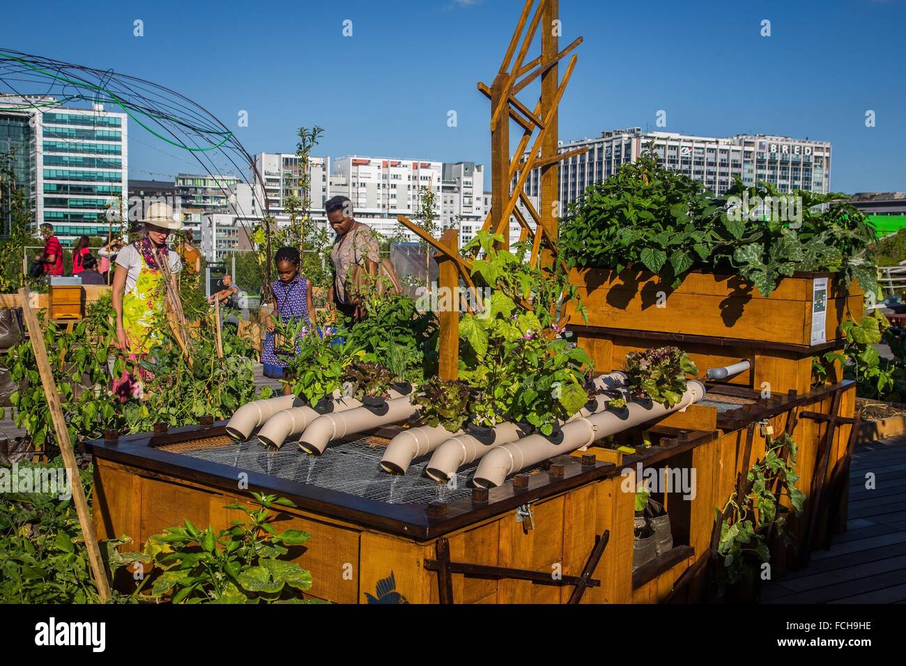 Living Roof The Residence Of Urban Agricultural Cite De La Mode Et Du Design Stock Photo Alamy
