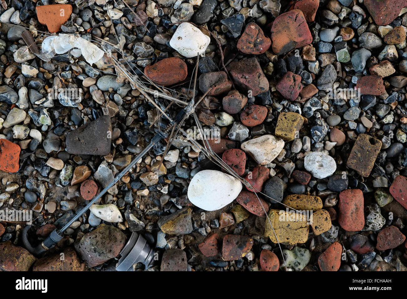 River Thames shore showing rocks and discarded umbrella Stock Photo