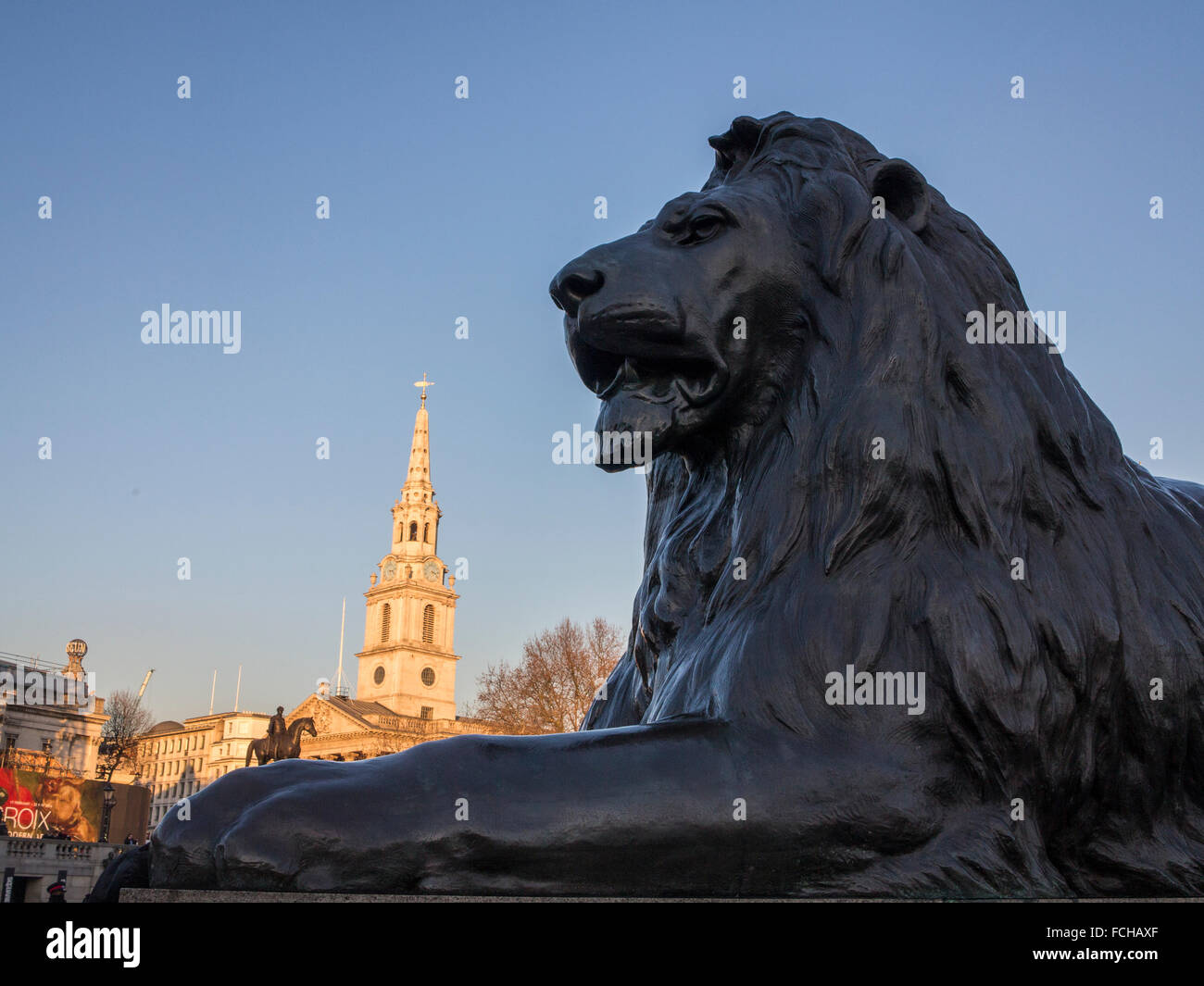 The famous Trafalgar Square lion Stock Photo - Alamy