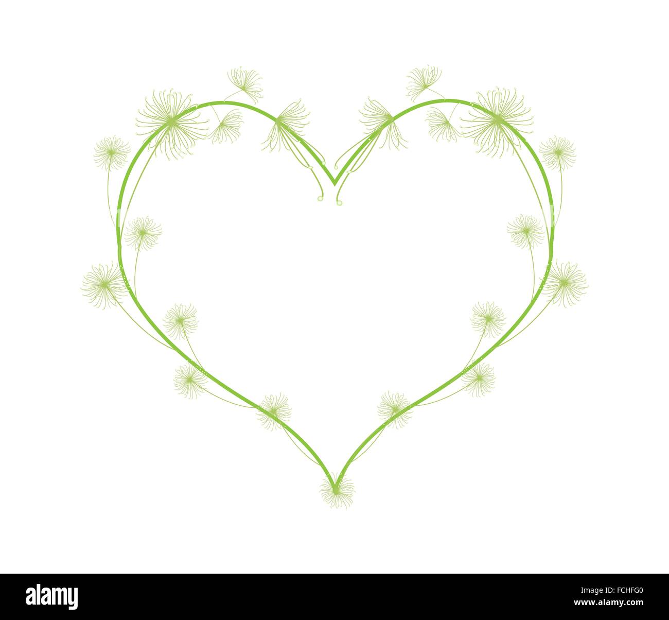 Love Concept, Illustration of Green Cyperus Papyrus or Cyperaceae Plants Forming in A Heart Shape Isolated on White Background. Stock Photo