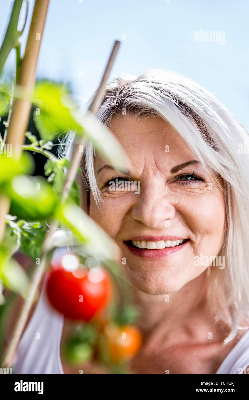 Portrait of smiling mature woman tomato plant in garden Stock Photo - Alamy