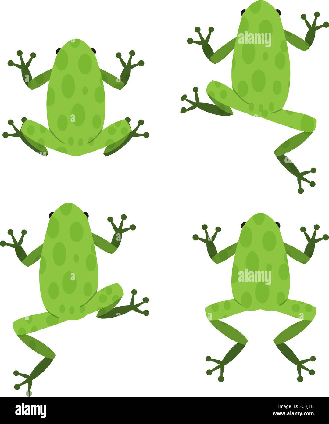 Set of green frog in flat style with pattern, vector Stock Vector