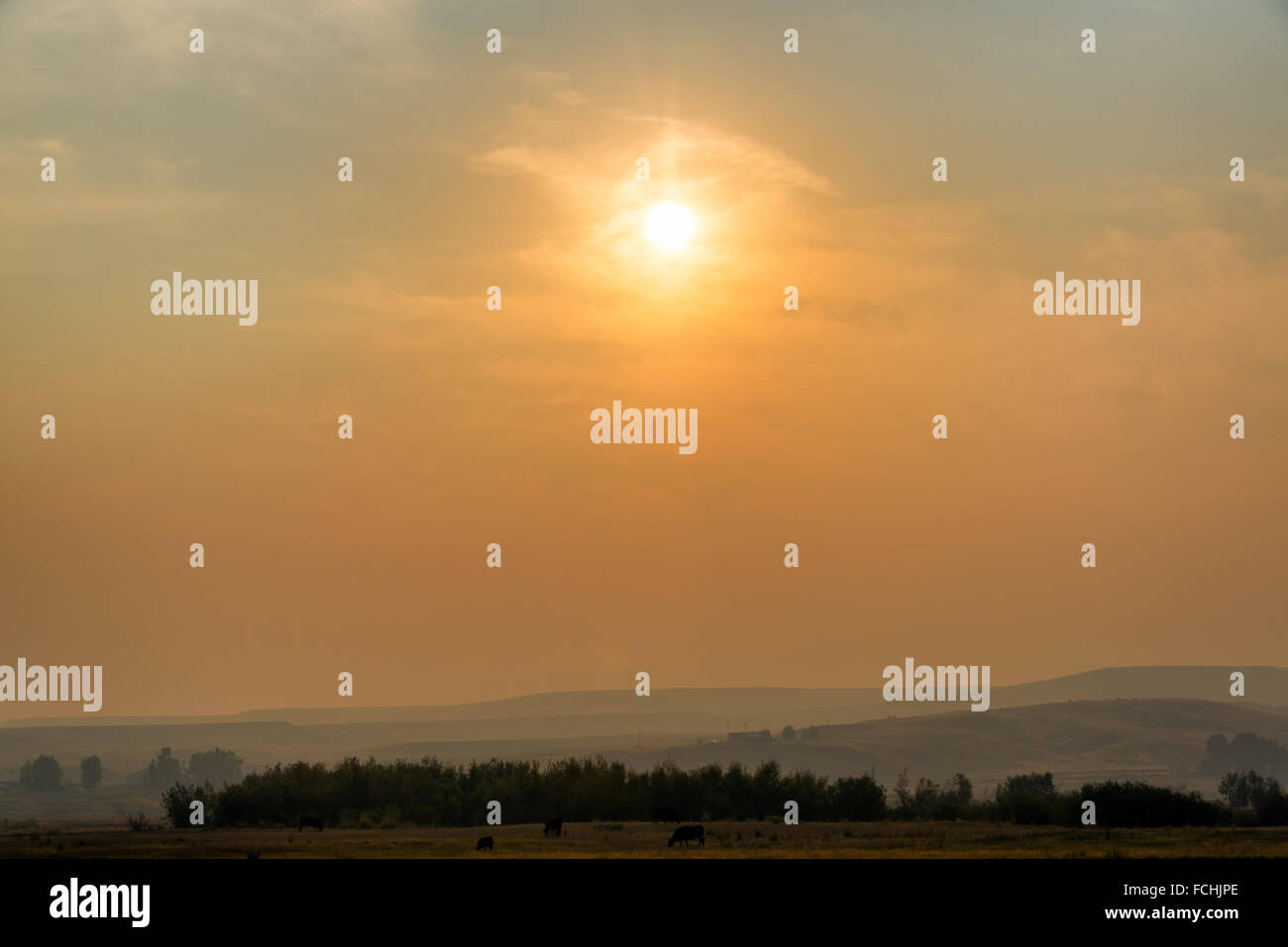 Early morning view of a field and a hazy sunrise due to forest fires near Missoula, Montana Stock Photo