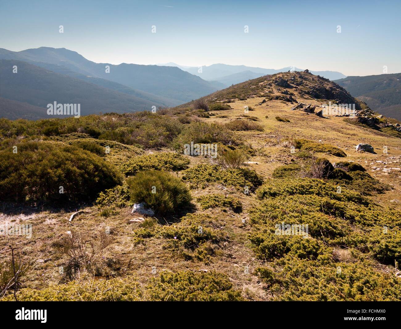 Loma Mediana in the Sierra Norte. El Cardoso de la Sierra. Guadalajara