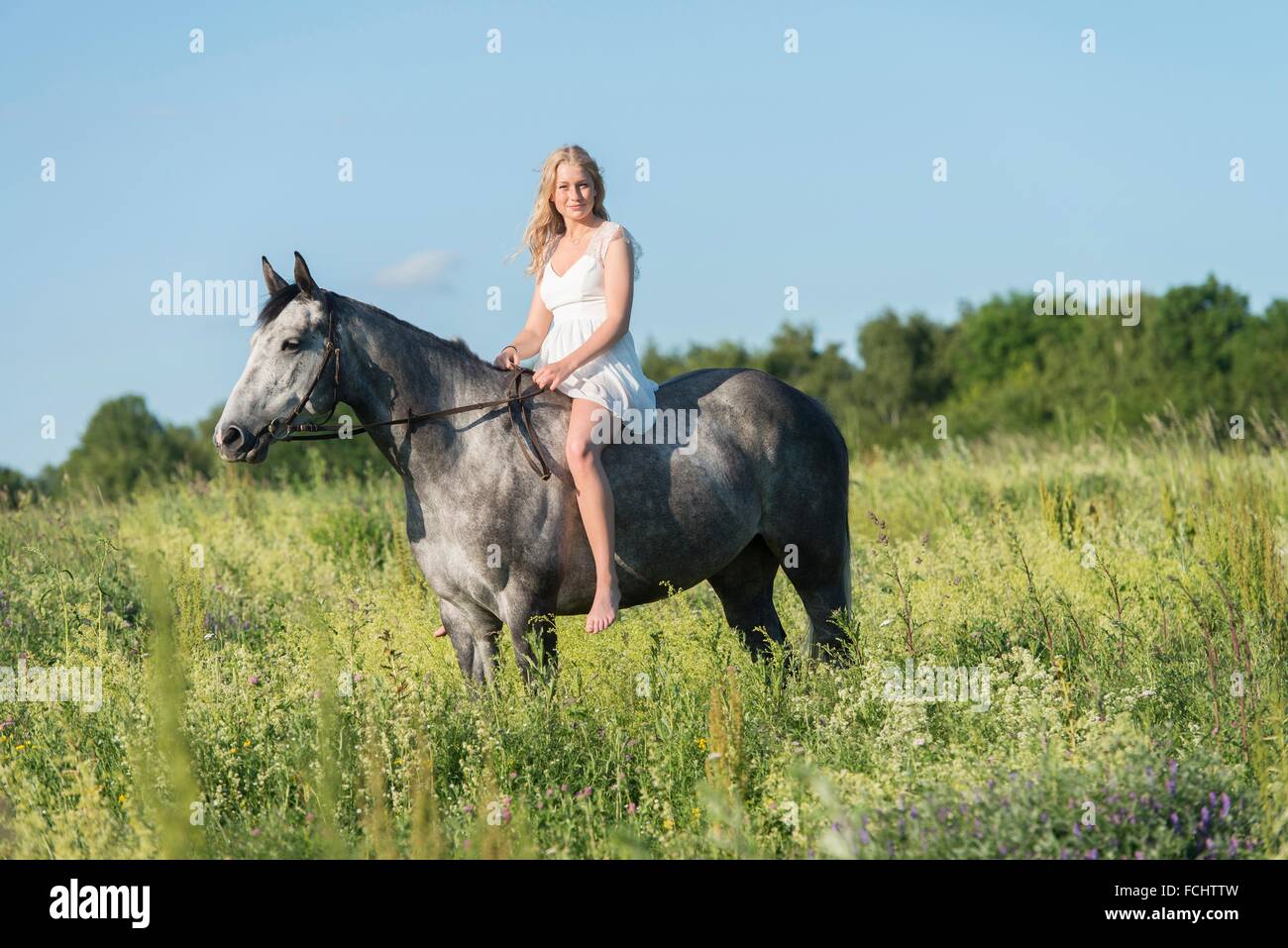 Girl in a white dress riding a grey horse. Stock Photo