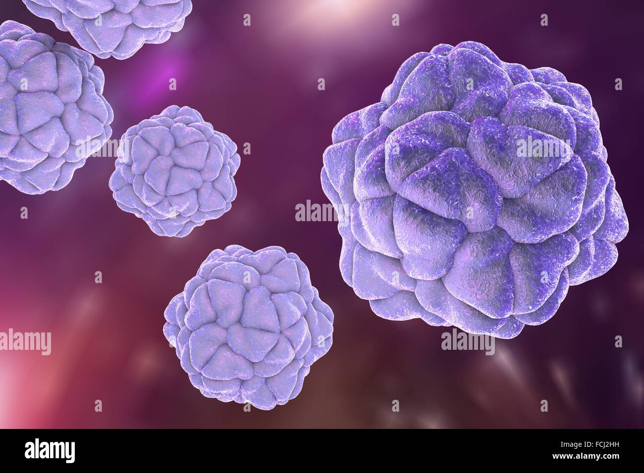 Tobacco necrosis satellivirus hires stock photography and images Alamy