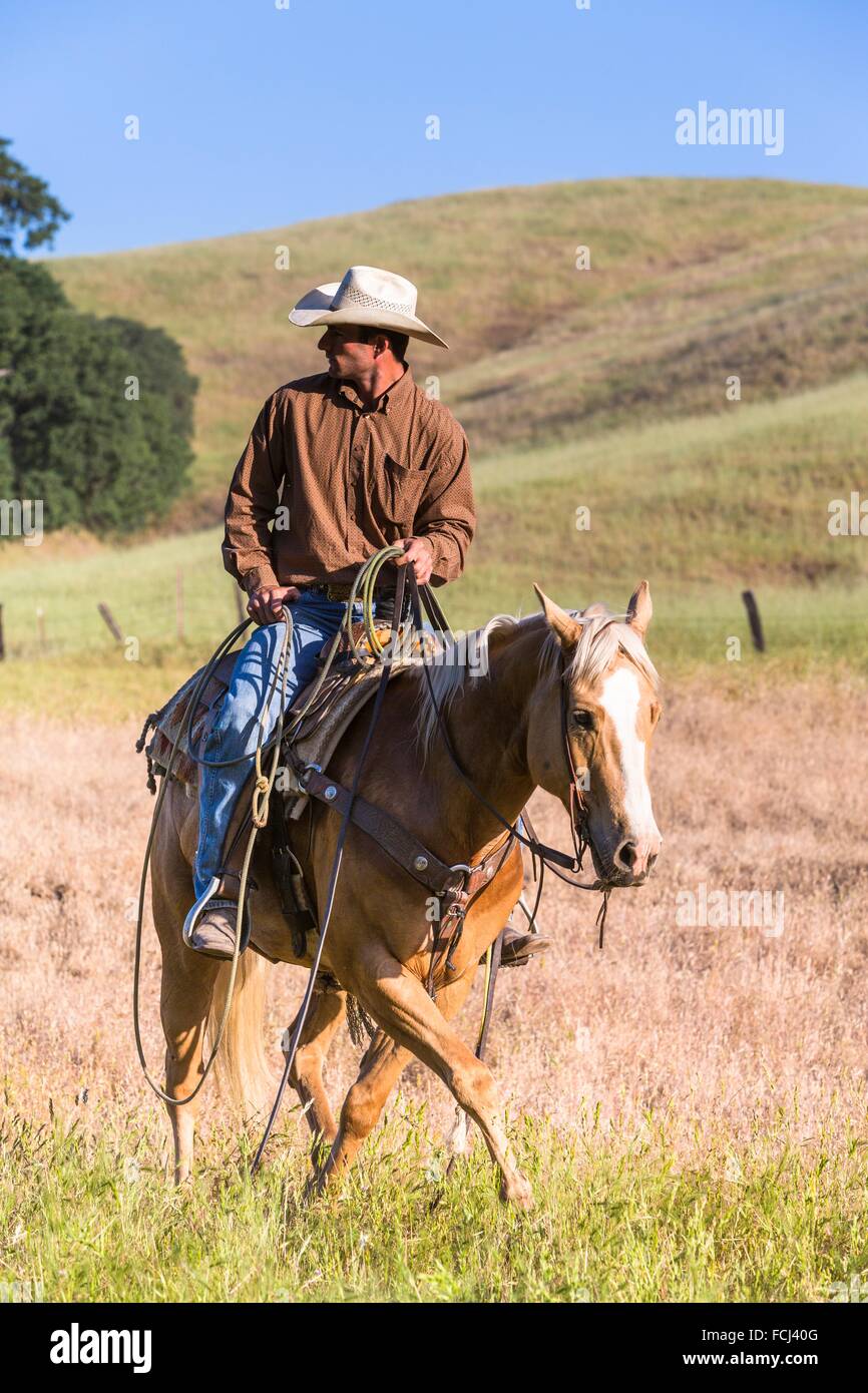 Single wrangler (cowboy) on horse, California, USA Stock Photo - Alamy