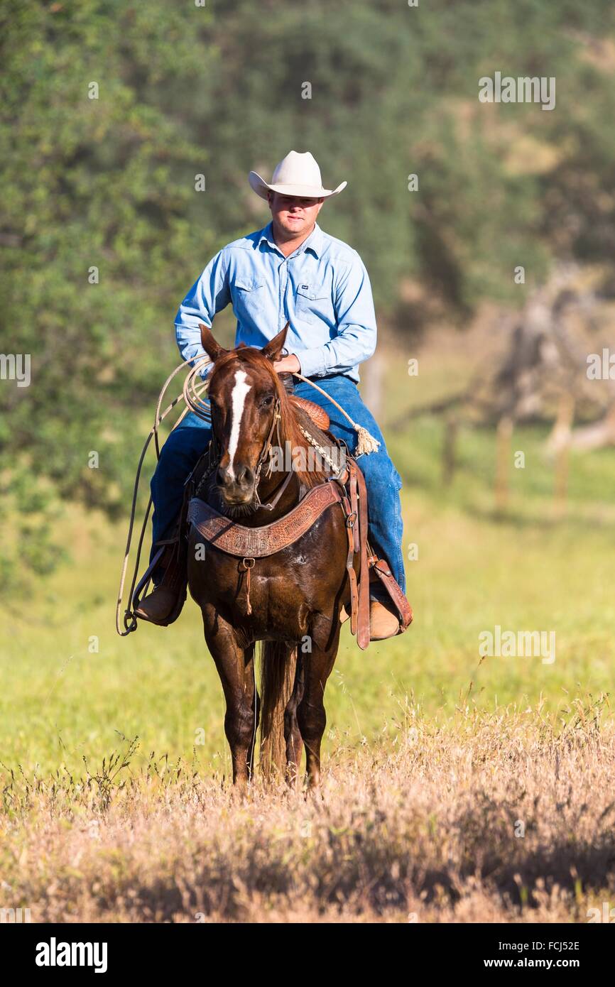 Single wrangler (cowboy) on horse, California, USA Stock Photo - Alamy