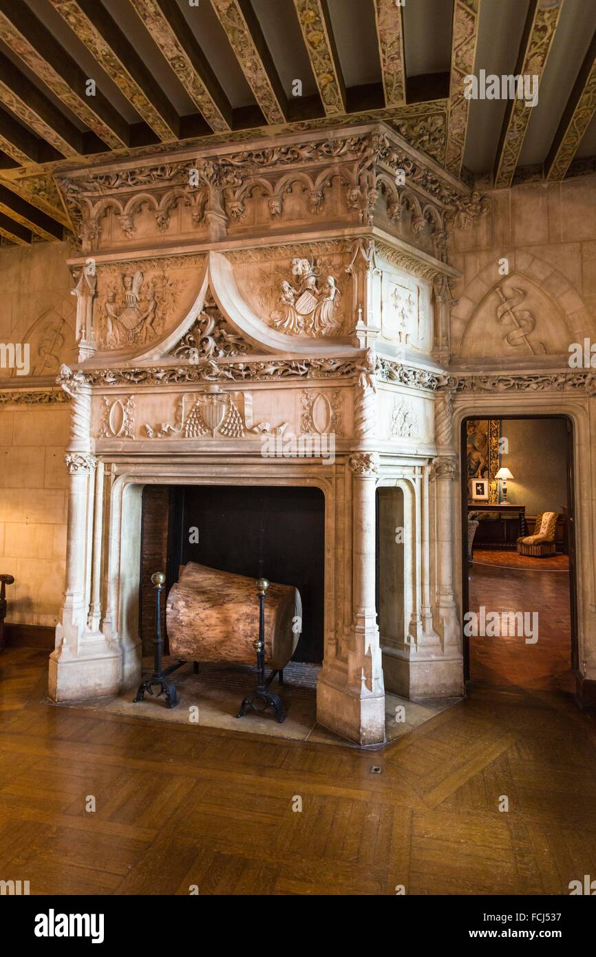 Historic Fireplace In The Beautiful Chateau De Chaumont Sur Loire
