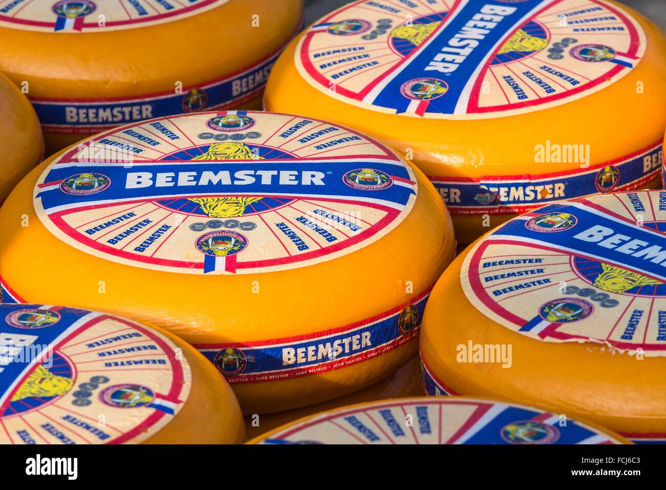 Close up of cheeses at the famous cheese market in Alkmaar, The