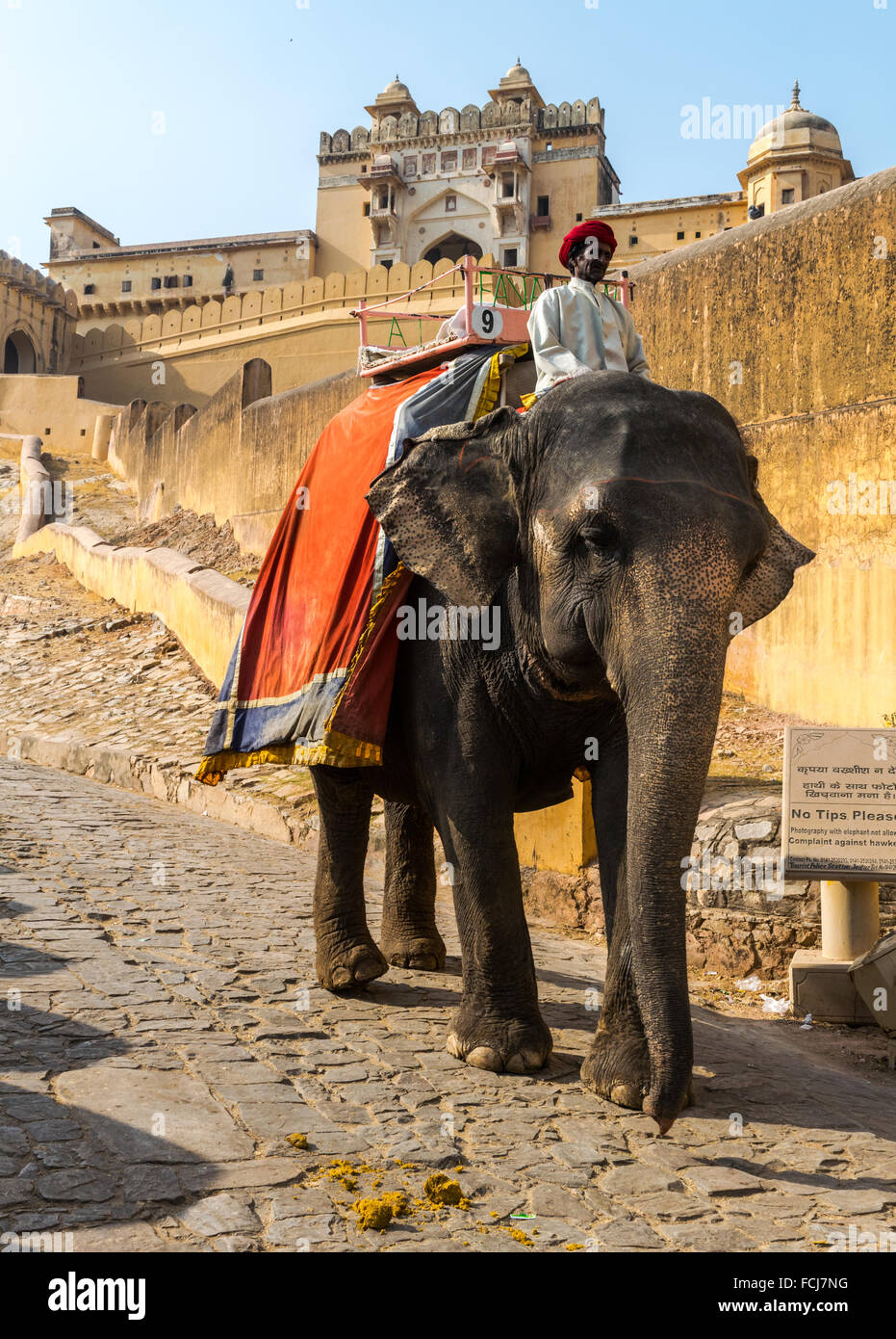 Elephant Rider Stock Photo Alamy