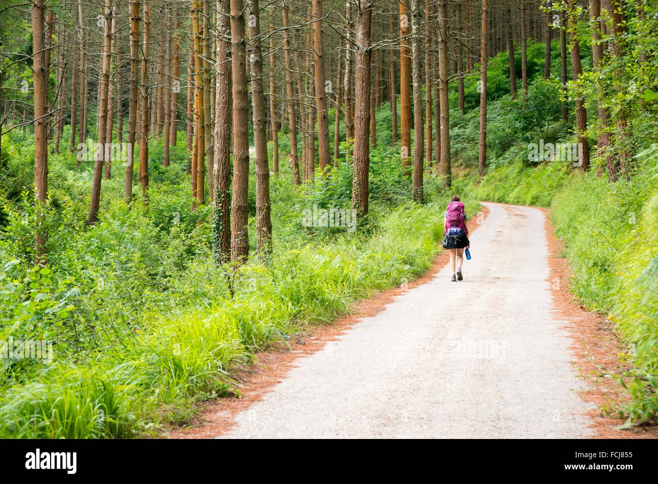 Woman backpacker walk along the paths crossing the Basque country ...