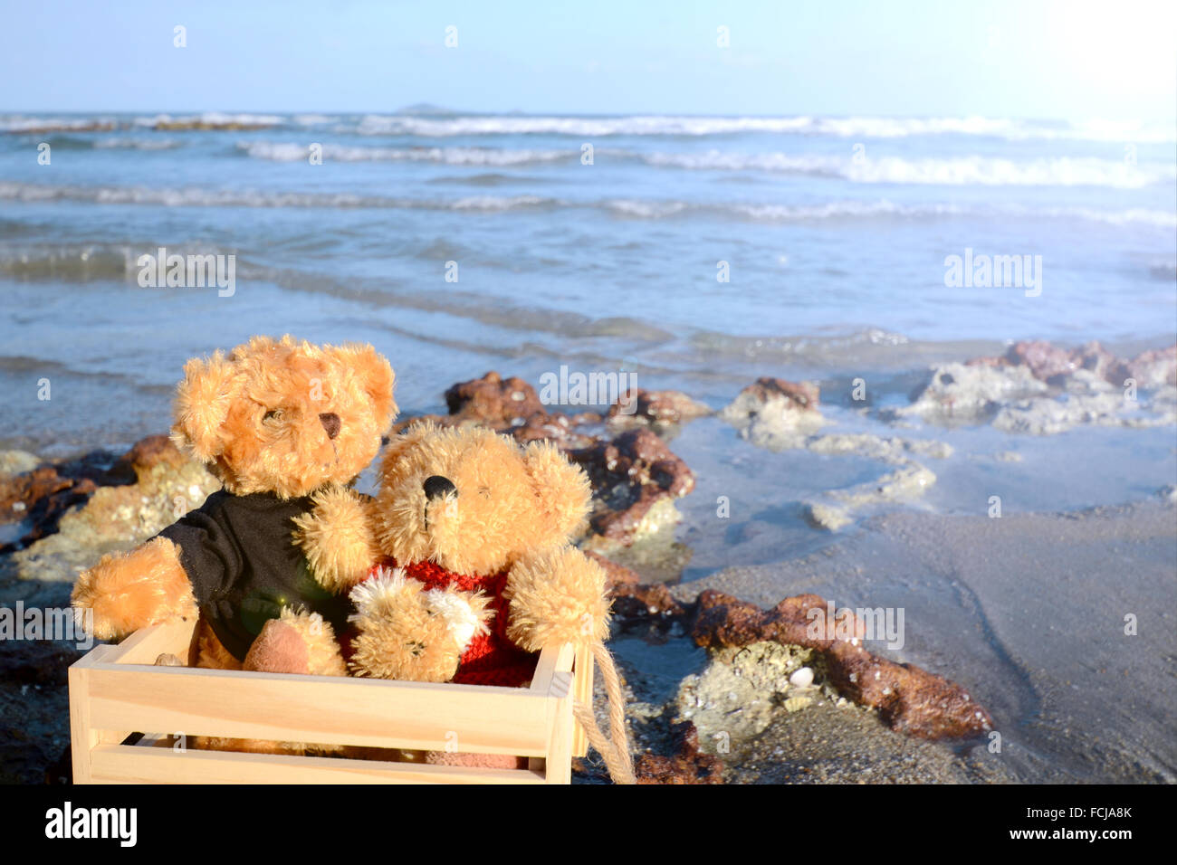 Couple of Bear on the Beach. Stock Photo