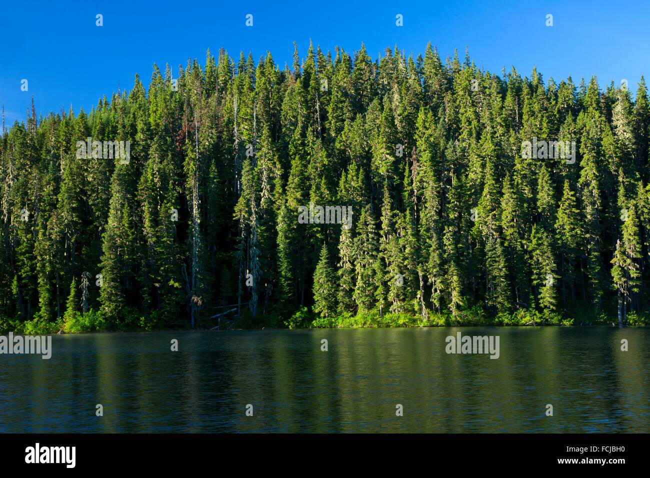 Lower Lake, Olallie Lake Scenic Area, Mt Hood National Forest, Oregon Stock Photo Alamy