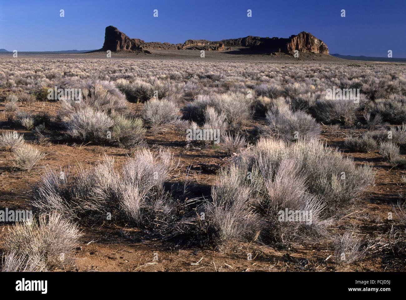 Fort Rock, Fort Rock State Park, Christmas Valley National Back Country Byway, Oregon Stock
