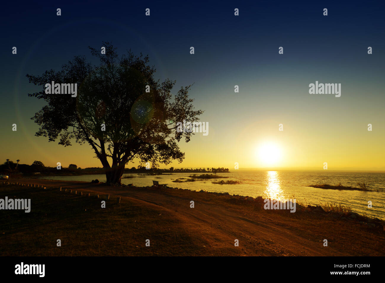 Golden light over the lake with silhouette tree Stock Photo - Alamy