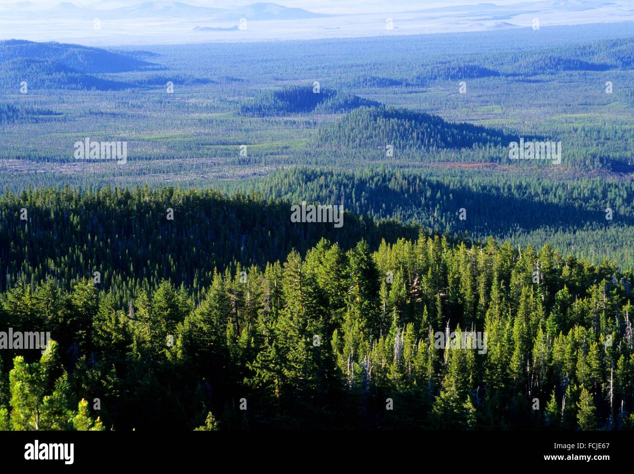 Cinder cone view from Paulina Peak, Newberry National Volcanic Monument, Oregon. Stock Photo