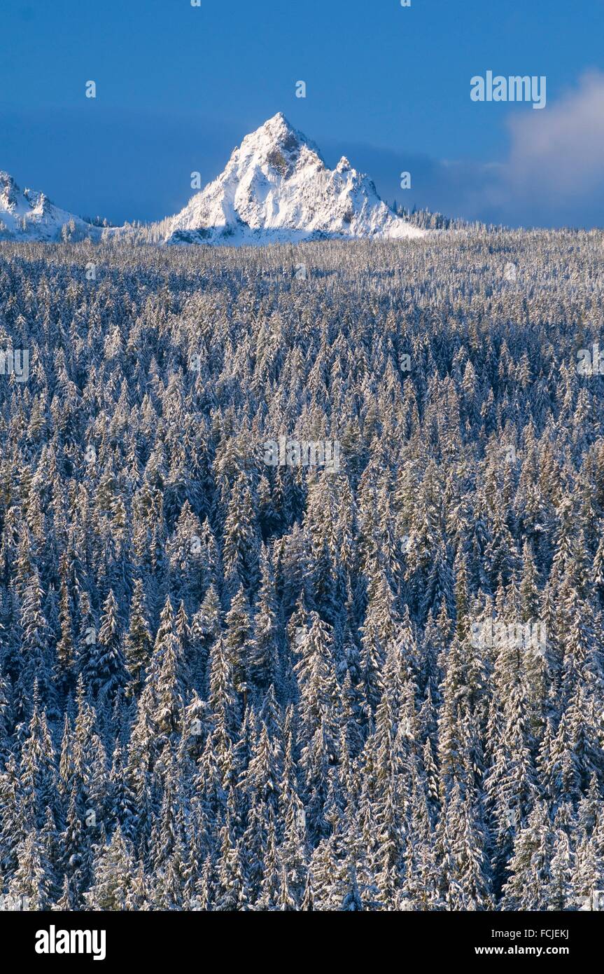 Mt yoran hires stock photography and images Alamy