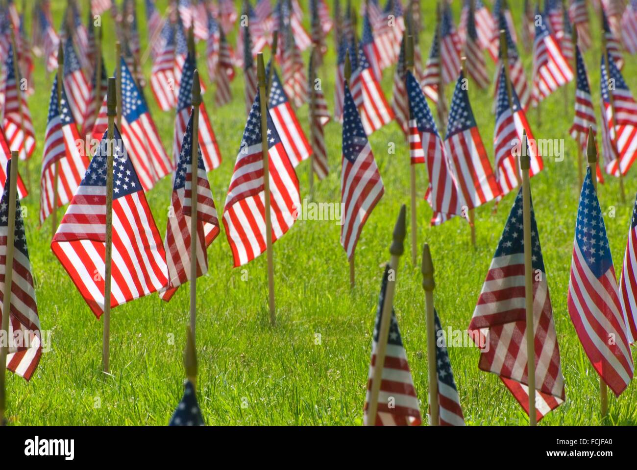 Memorial Day flags on graves, Willamette National Cemetery, Portland