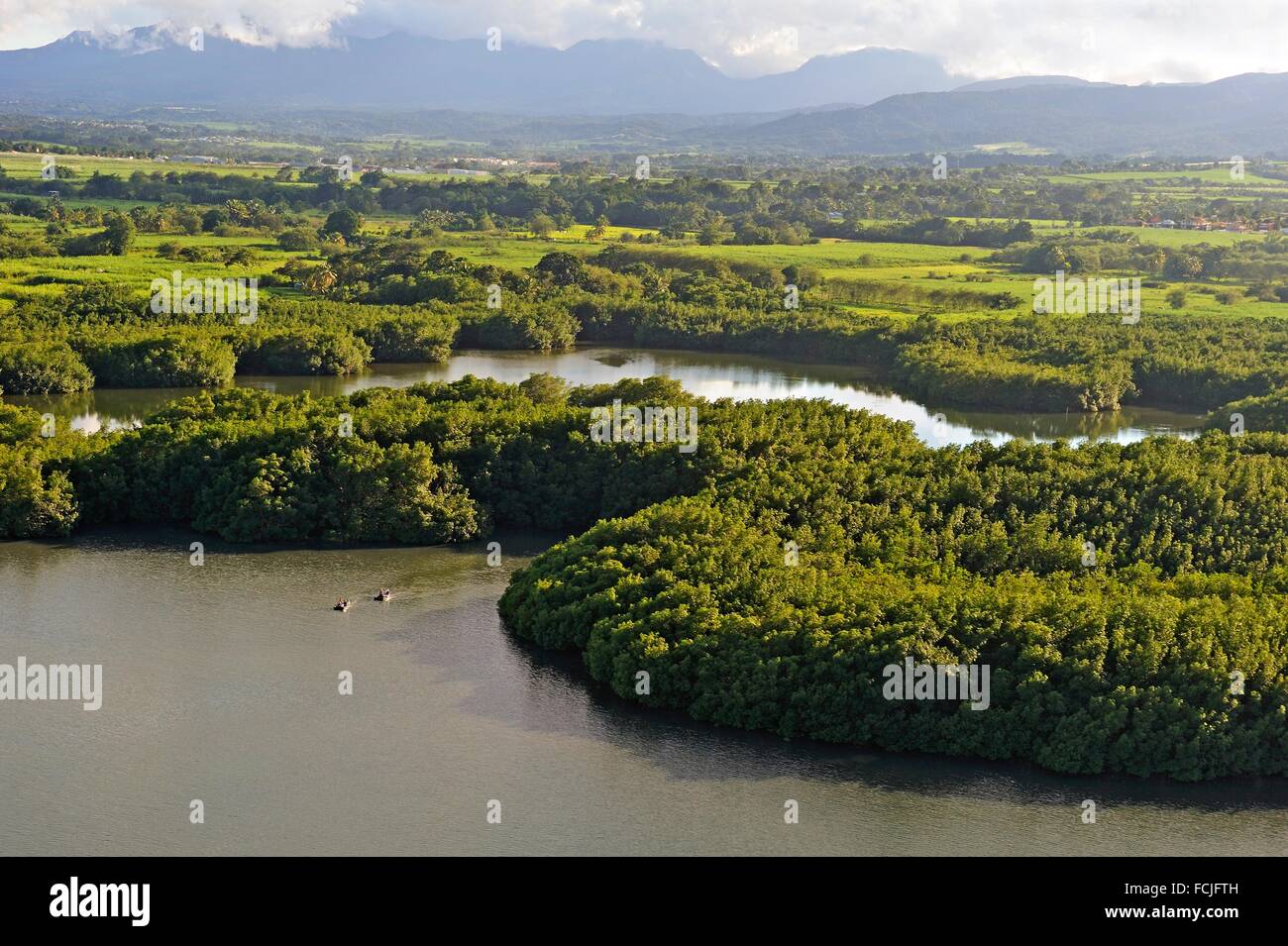 aerial view of mangrove swamp, Grand Cul-de-sac Marin, Sainte-Rose,  Basse-Terre, Guadeloupe, overseas region of France Stock Photo - Alamy