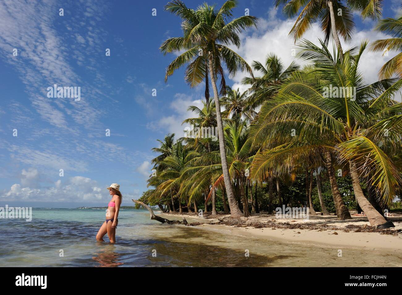 Maillot hi-res stock photography and images - Page 2 - Alamy