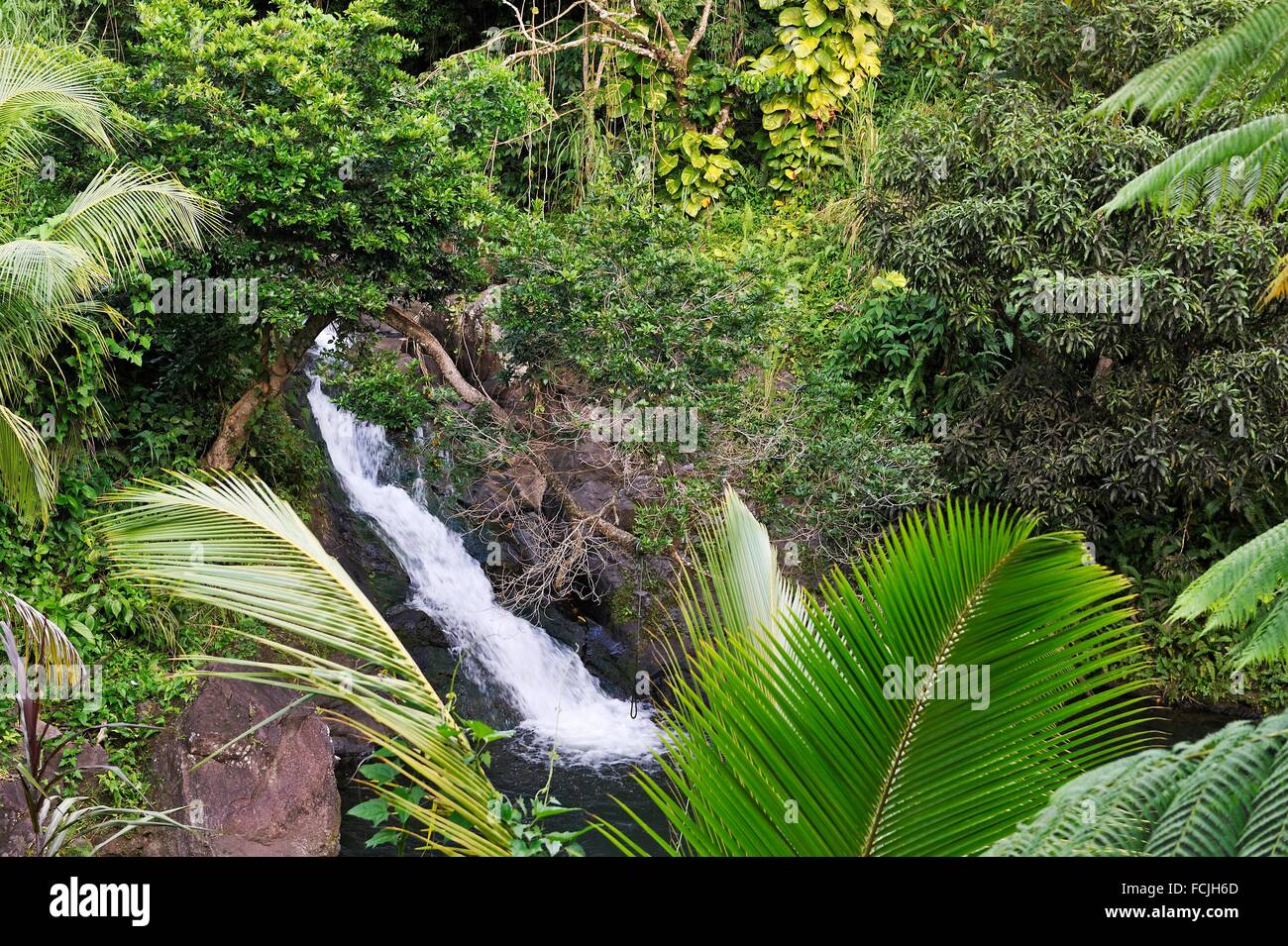 Trois rivières guadeloupe hi-res stock photography and images - Alamy