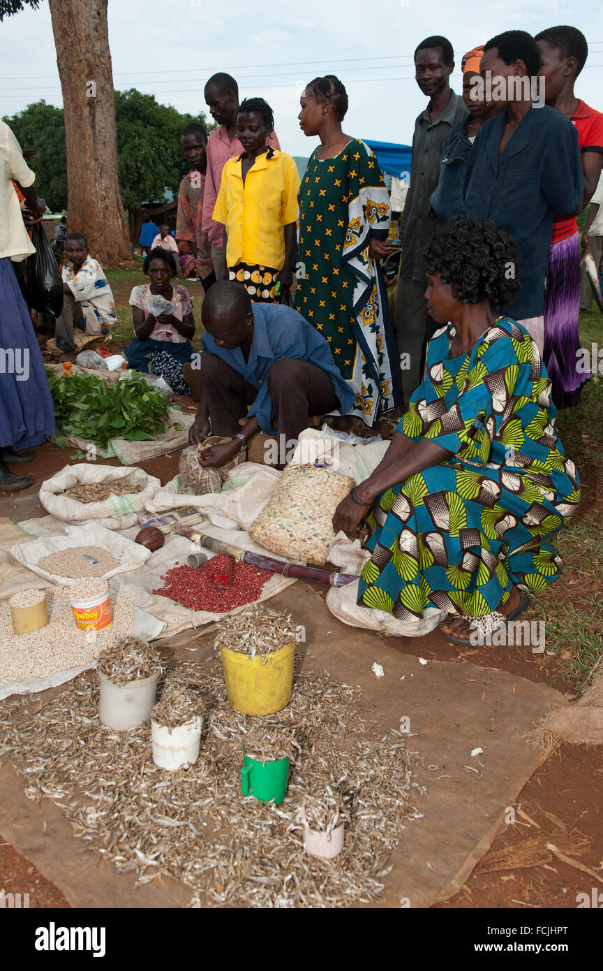 Trading at a roadside market with traders selling food items. Uganda. Stock Photo