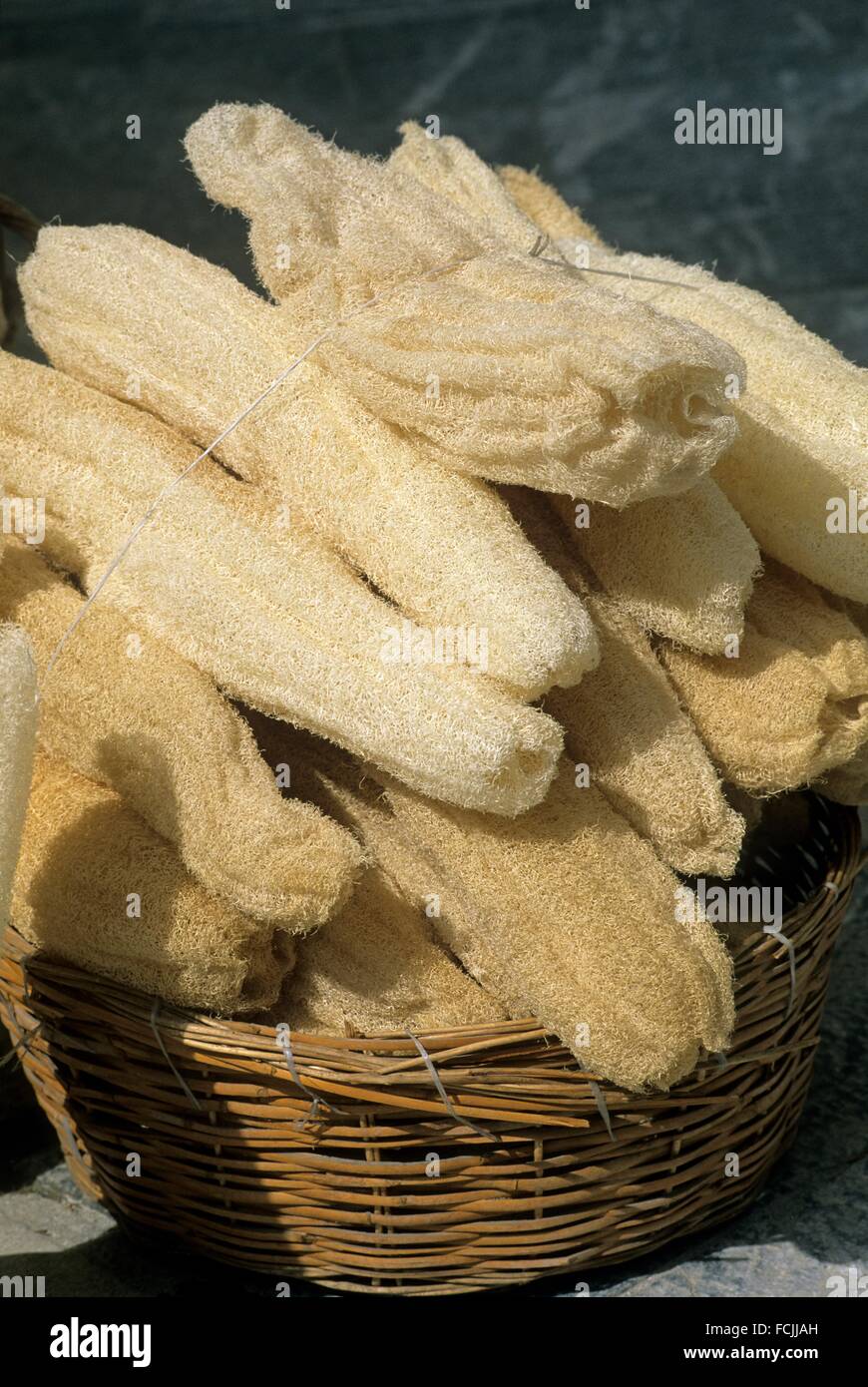 natural sponges for sale, Argolid, Peloponnese, Greece, Southern Europe