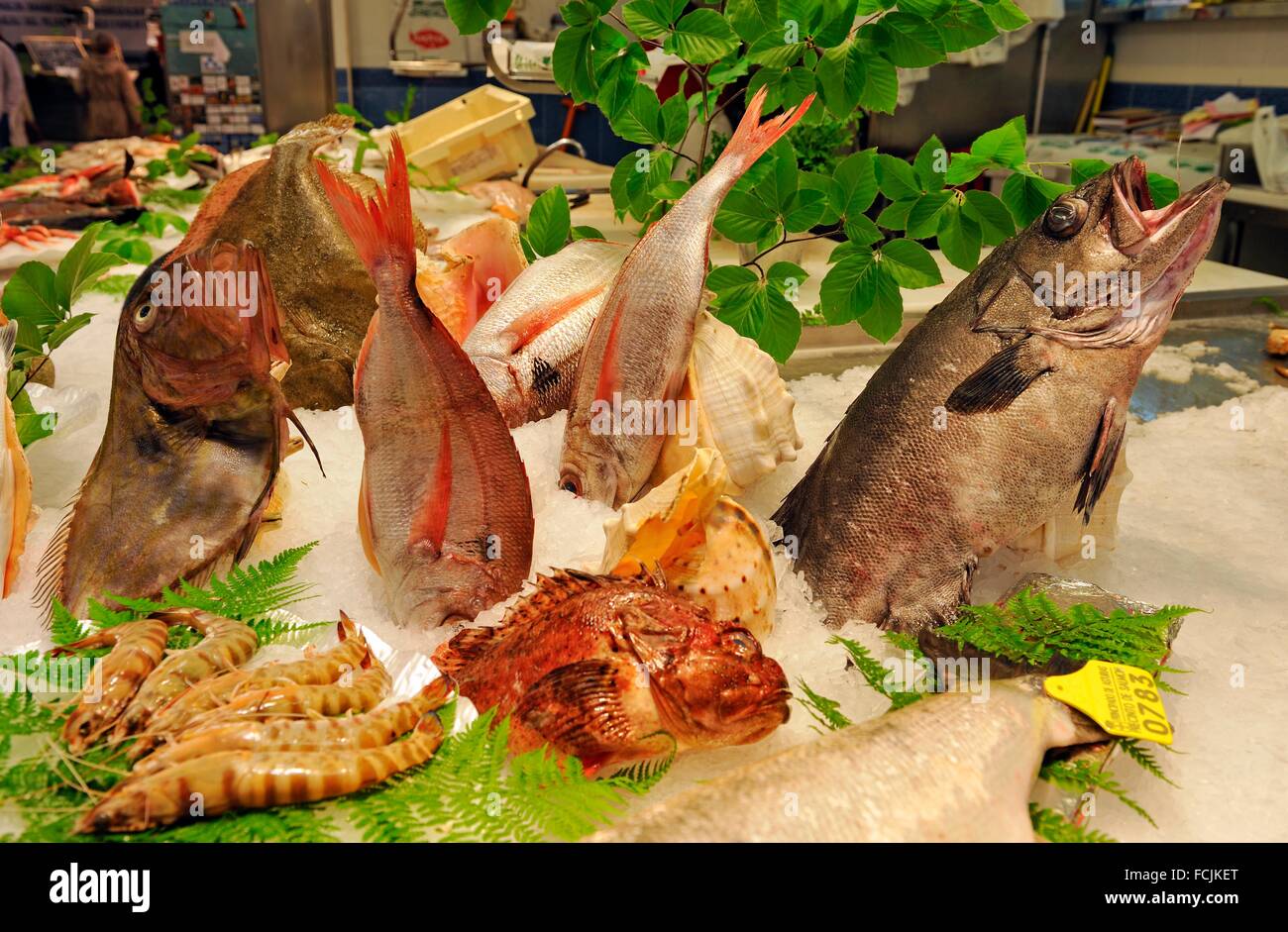 fish market La Bretxa San Sebastian Bay of Biscay province of