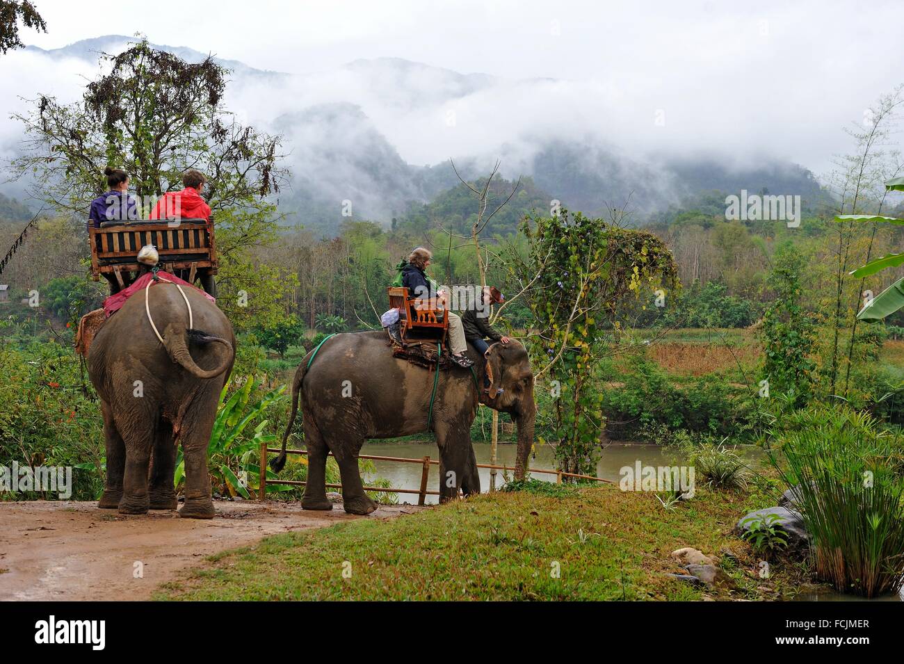 elephant ride, Elephant Village, Ban Xieng Lom village, near Luang