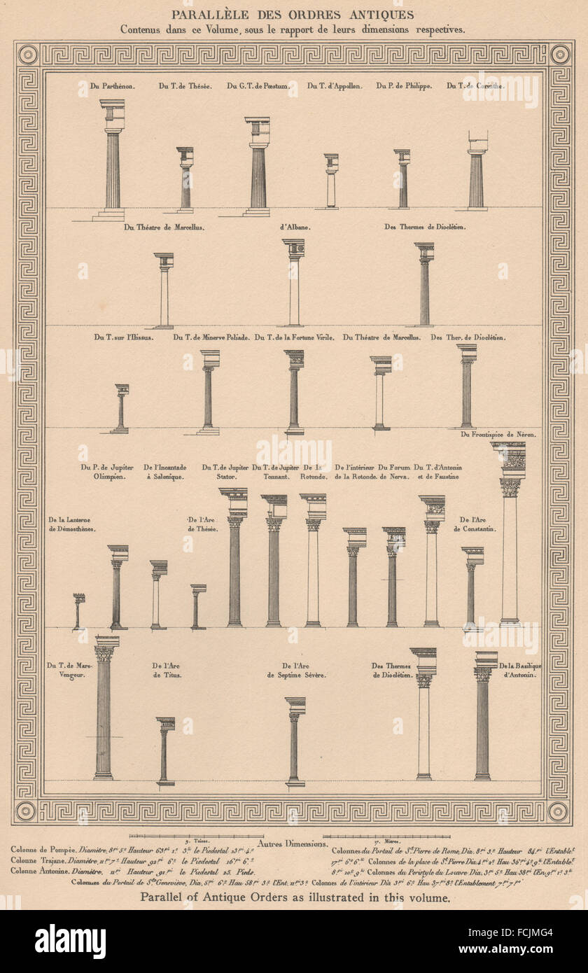 ARCHITECTURE: Parallel of Antique orders, vintage print 1931 Stock Photo