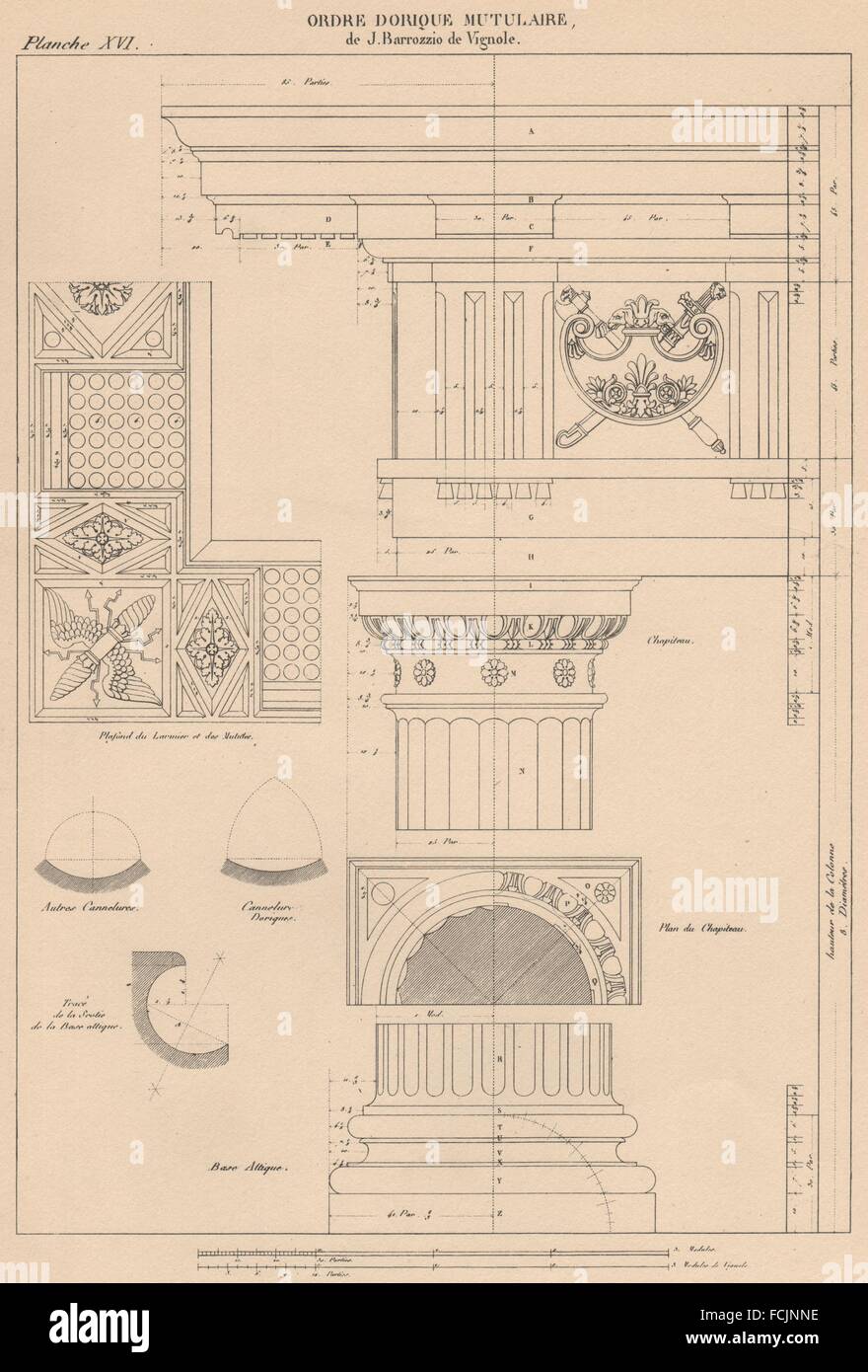 DORIC ARCHITECTURE: Mutuled Order. Vignola 1507-1573, vintage print ...