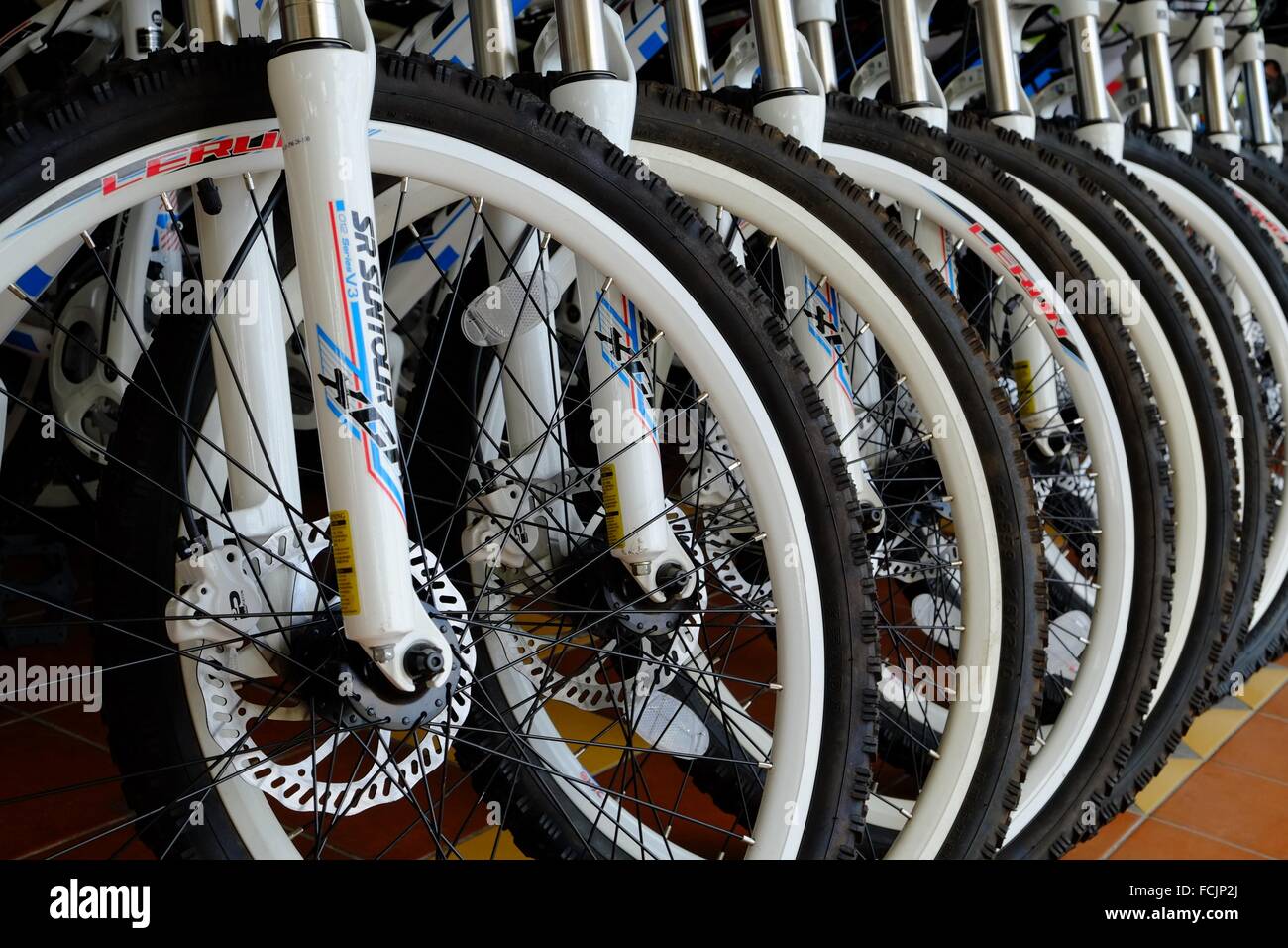 new bicycles for sale