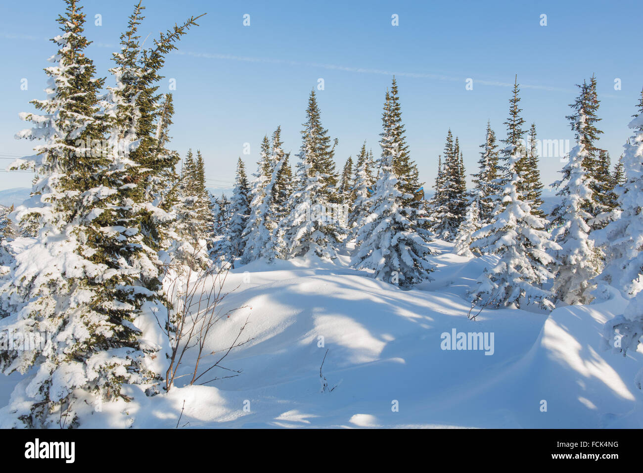 Beautiful winter landscape Stock Photo - Alamy