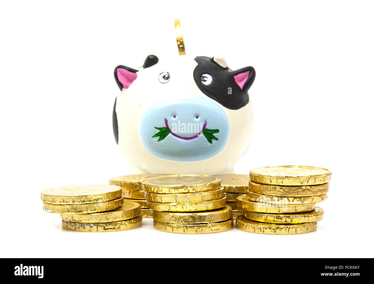 Cow Money Box with Gold Chocolate Coins Stock Photo