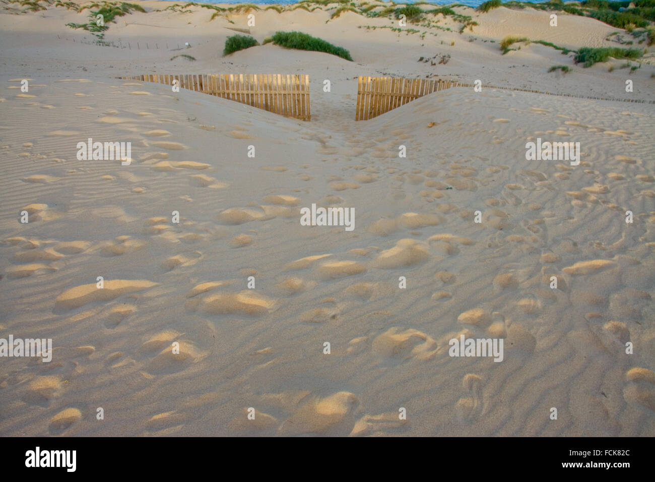 Wooden Fences door On Deserted Beach Dunes In Tarifa, Spain Stock Photo