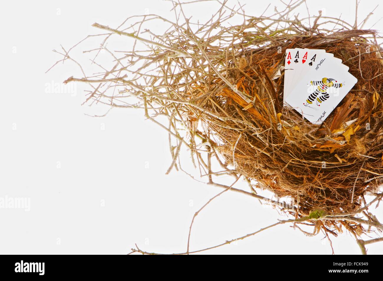 Metaphor for 'Gambling with your Nest Egg' Stock Photo Alamy