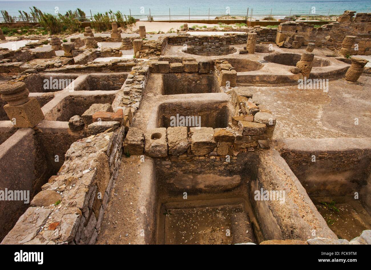 The Story of Garum Sauce Salted Ancient Fermented Fish and World the in