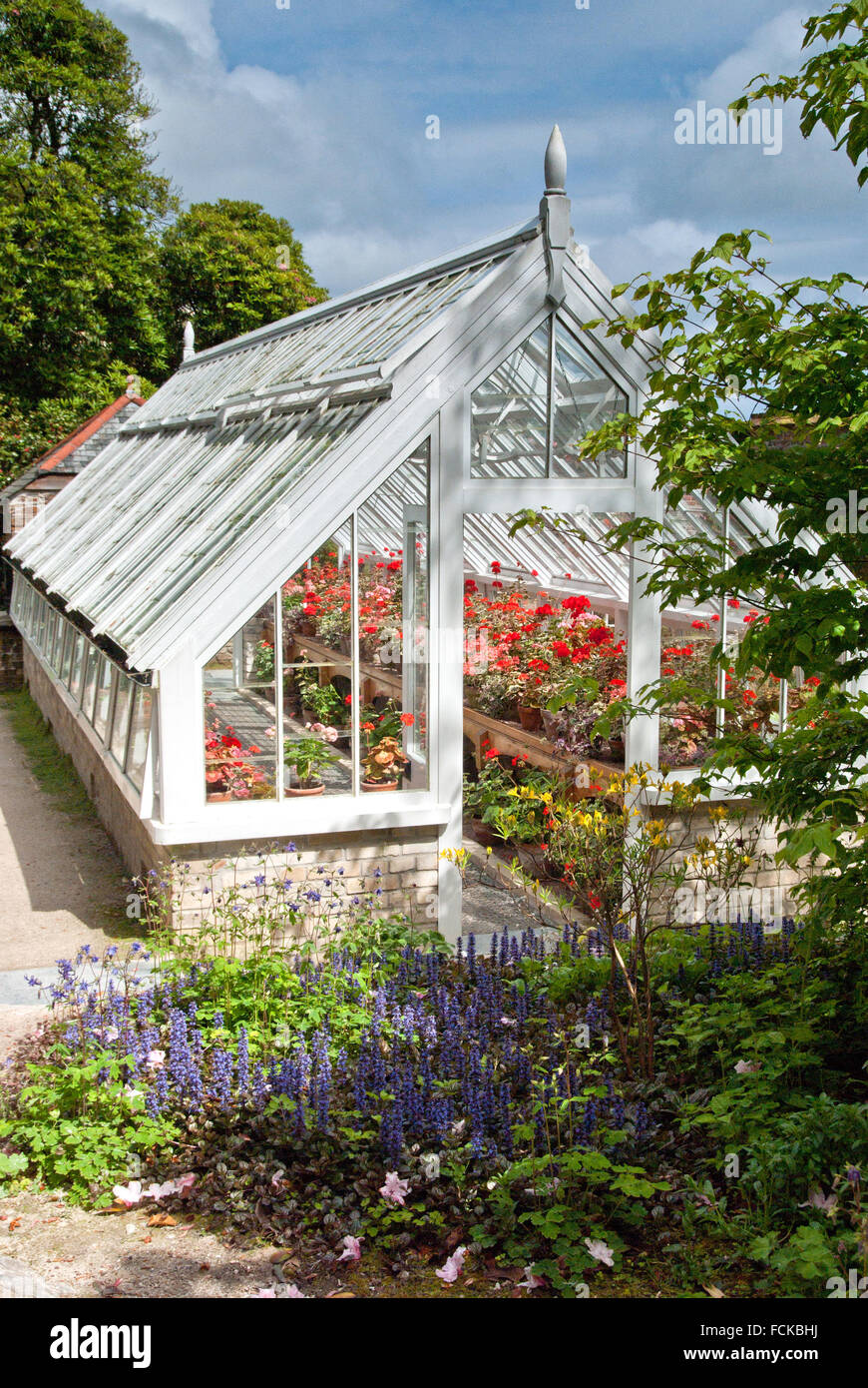 The Lost Gardens of Heligan Stock Photo Alamy