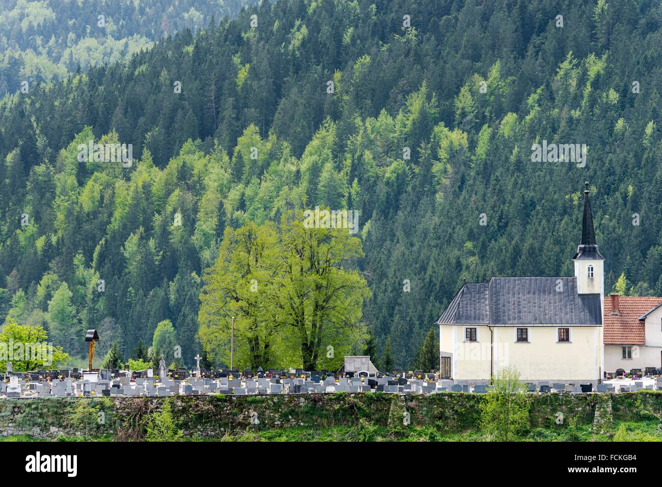 Loski potok hi-res stock photography and images - Alamy