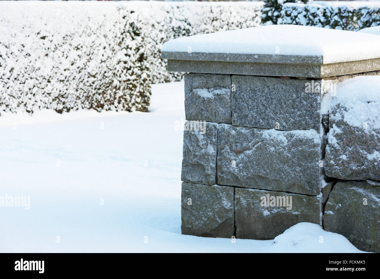 Cold and snow covered gray granite corner of a stone wall with snow covered conifer bushes in background. Copy space. Stock Photo