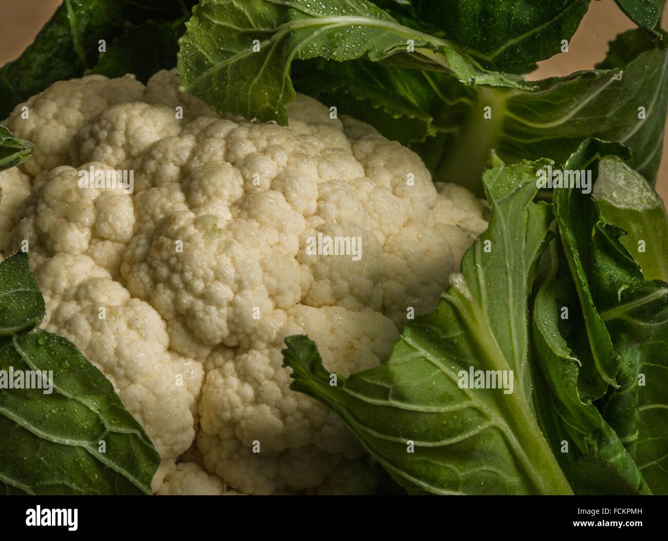 raw cauliflower with it´s protective leaves Stock Photo Alamy