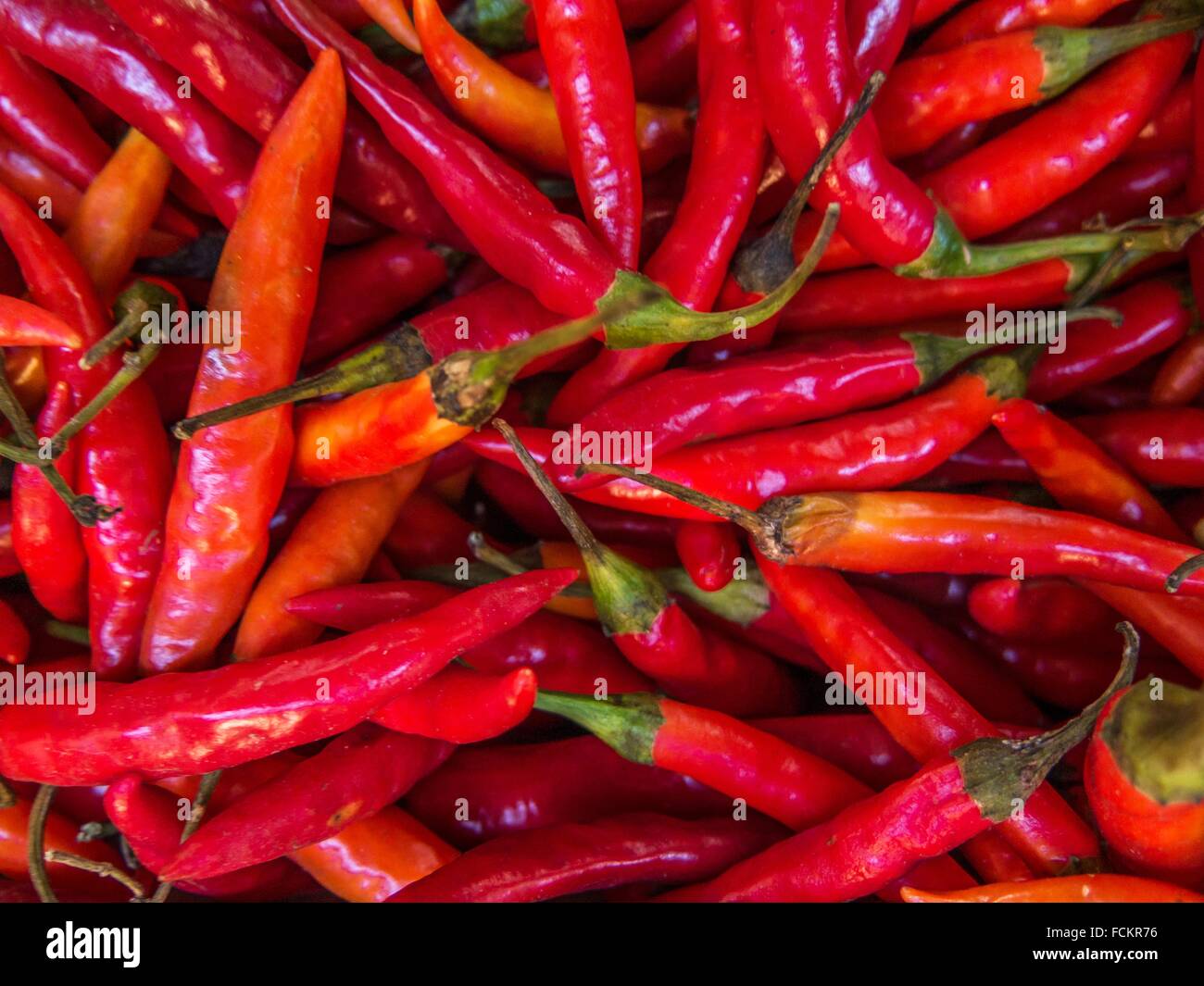 This bright red pepper is usually consumed in its dried, powdered form
