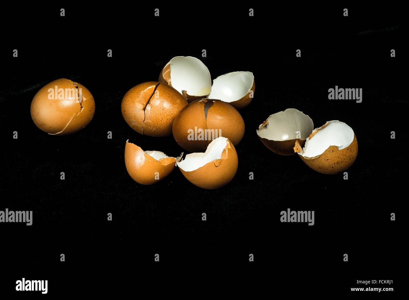 Half open shell hi-res stock photography and images - Alamy