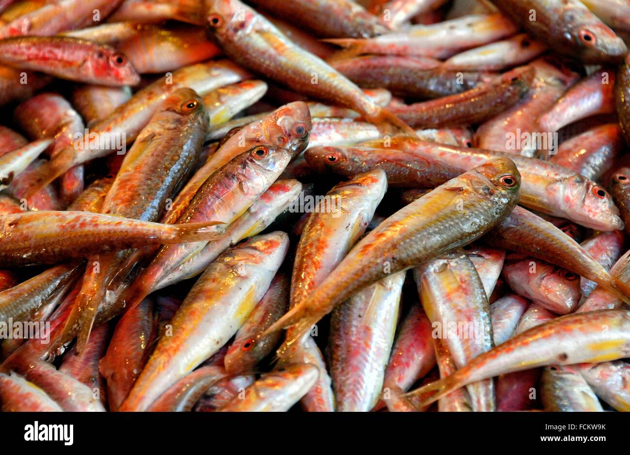 Fish sale sicily hires stock photography and images Alamy