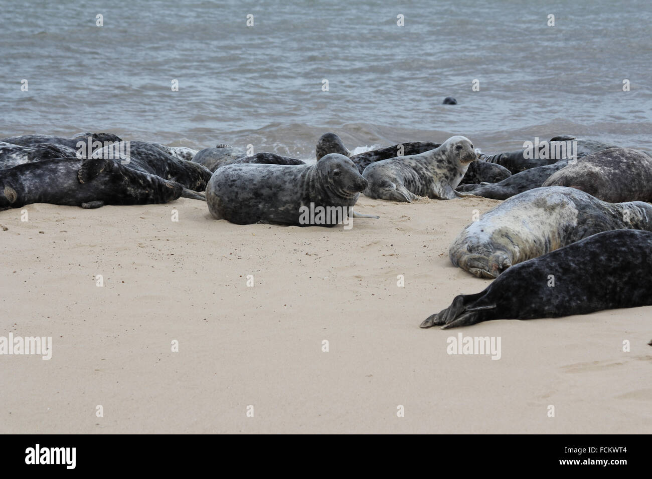 Sea palling norfolk uk hires stock photography and images Alamy