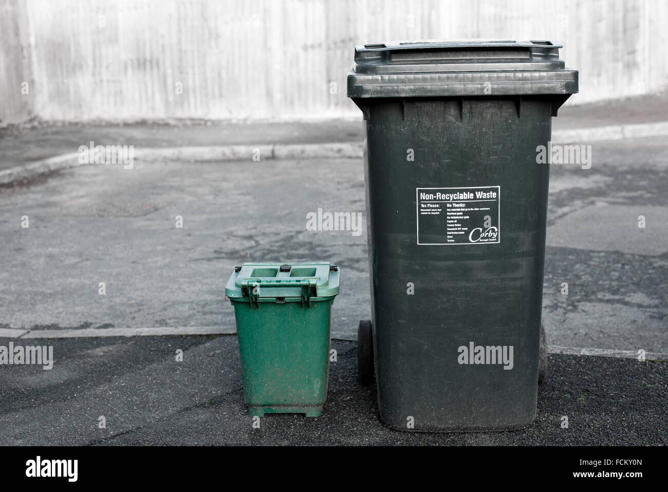 Food waste bin (green) and nonrecyclable waste bin (black) await