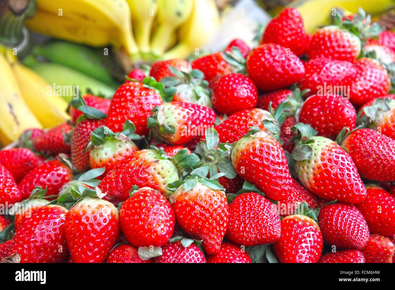 Strawberries Lavradores market Funchal city in Madeira island Portugal Stock Photo Alamy