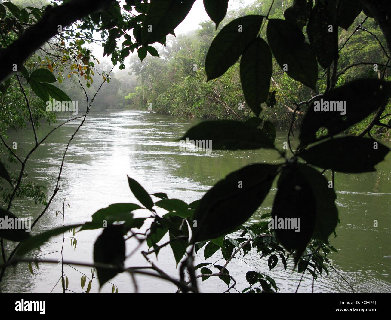 Cataniapo River in the Jungle of Puerto Ayacucho, Amazonas state Venezuela. Stock Photo
